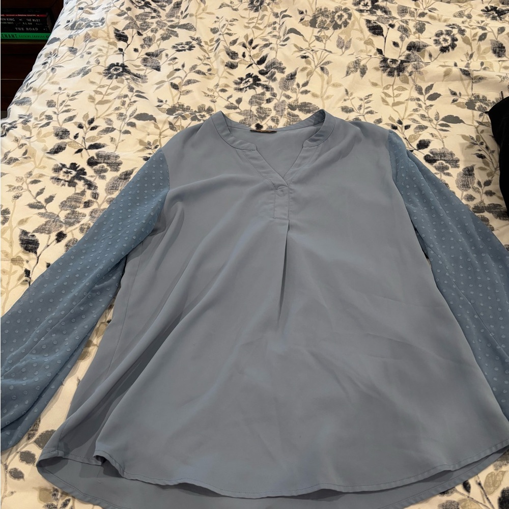 Light Blue Long-Sleeve V-Neck Blouse